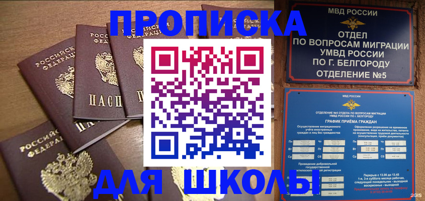 прописка гарантия в Курской области